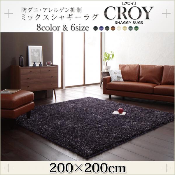防ダニ・アレルゲン抑制ミックスシャギーラグ【CROY】クロイ 200×200cm