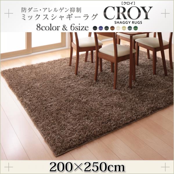 防ダニ・アレルゲン抑制ミックスシャギーラグ【CROY】クロイ 200×250cm