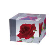 ROSE CUBE / ローズキューブ